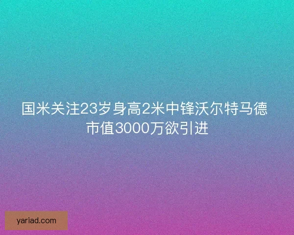 国米关注23岁身高2米中锋沃尔特马德 市值3000万欲引进